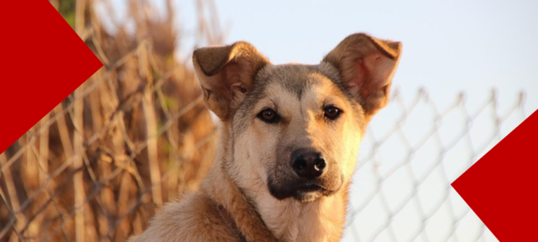 Image source : Pixabay