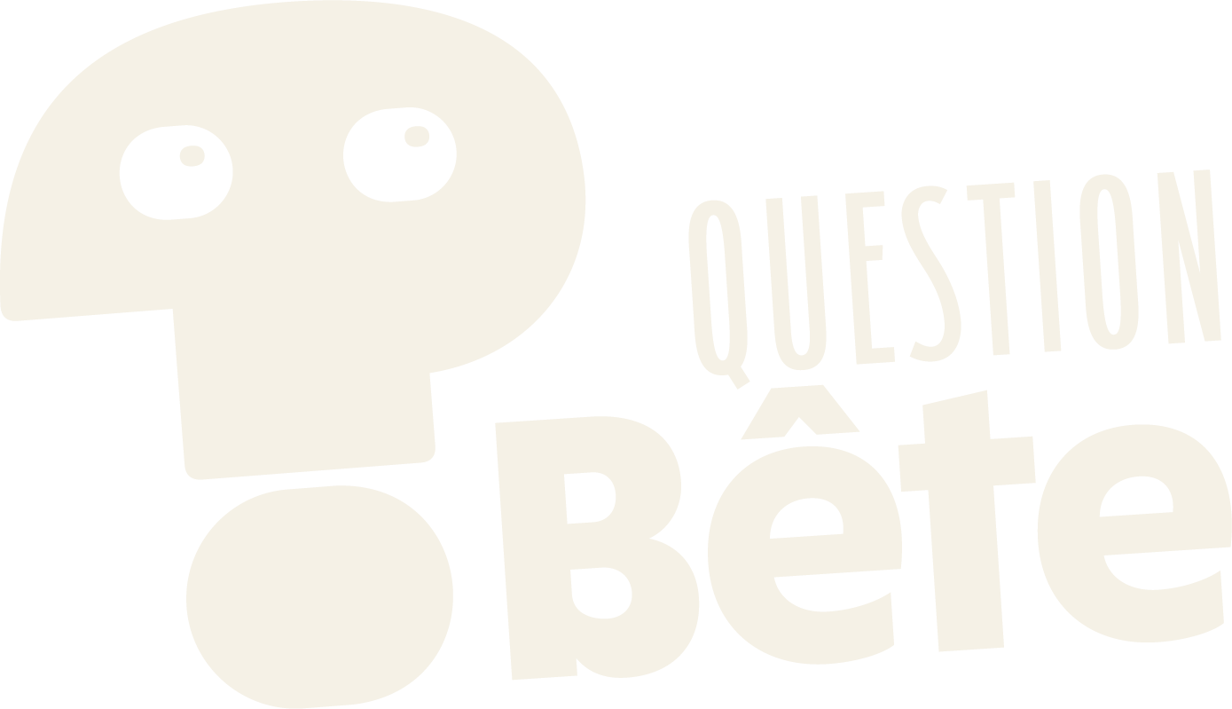 Logo Question bête