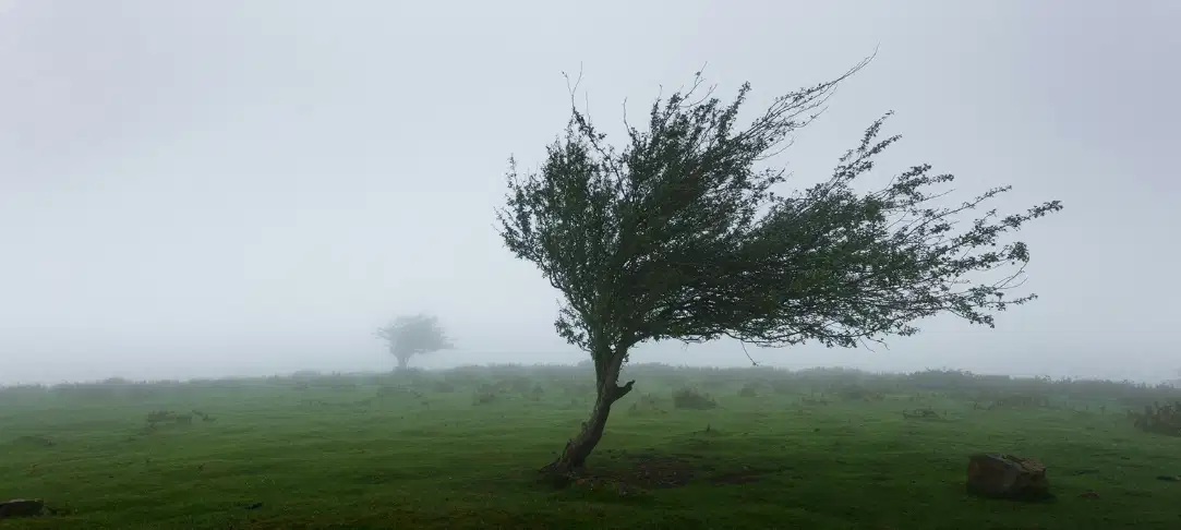 Somme et Oise : le bilan après la tempête Austen